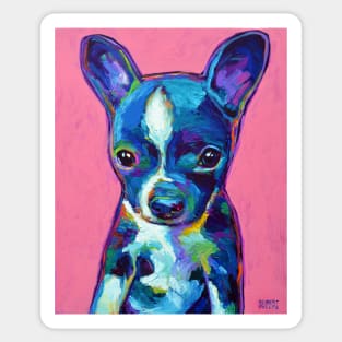 Cute BOSTON TERRIER CHIHUAHUA puppy Sticker